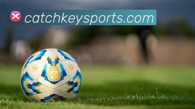 体育下注平台生态图