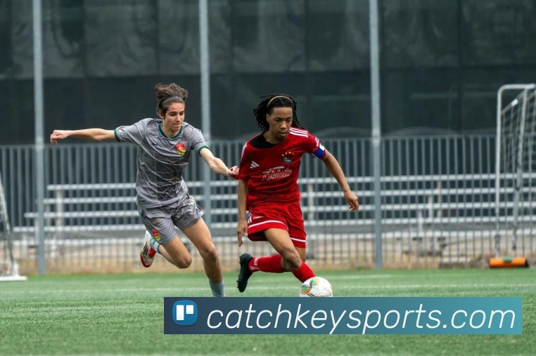 辅助工具 辅助工具